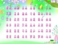 宝宝起名大全免费取名新生儿2025男孩(宝宝起名字大全免费2020223131阅读)