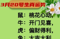 生肖运势详细解说视频下载(讲解生肖运势)