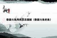 泰国斗鱼风水禁忌图解(泰国斗鱼的鱼)