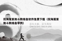 倪海厦紫微斗数排盘软件免费下载（倪海厦紫微斗数排盘举例）