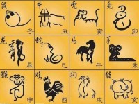 12月1日特吉生肖运势(2021年12月1日生肖运势)