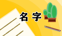 企业起名字格式怎么写好呢视频讲解(企业起名字格式怎么写好呢视频讲解下载)