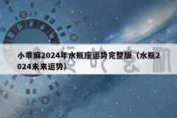 小乖麻2024年水瓶座运势完整版（水瓶2024未来运势）