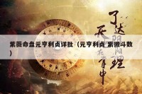 紫薇命盘元亨利贞详批（元亨利贞 紫微斗数）