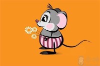 生肖鼠与生肖鸡的运势(生肖鼠和鸡合得来吗)