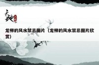 龙柳的风水禁忌图片（龙柳的风水禁忌图片欣赏）