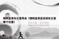 榕树盆景办公室风水（榕树盆景适合放办公室哪个位置）