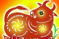 阴历10月生肖牛运势如何(阴历10月份的牛命运如何)