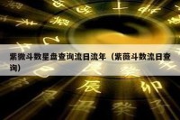 紫微斗数星盘查询流日流年（紫薇斗数流日查询）