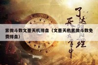 紫微斗数文墨天机排盘（文墨天机紫微斗数免费排盘）