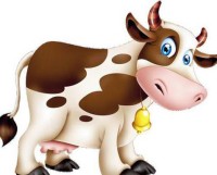 明年牛年生肖的运势(明年属牛的财运和运气如何2022)