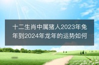 生肖猪在各年运势如何(生肖猪2021年运势及每月运势)