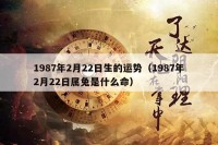 1987年2月22日生的运势（1987年2月22日属兔是什么命）