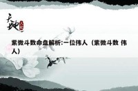 紫微斗数命盘解析:一位伟人（紫微斗数 伟人）