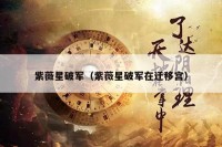 紫薇星破军（紫薇星破军在迁移宫）