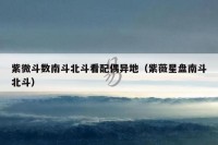 紫微斗数南斗北斗看配偶异地（紫薇星盘南斗北斗）