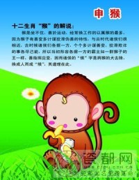 金猴生肖的人的运势(金猴今年的运势)