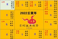 十二生肖022年运势(十二生肖2o21运势)