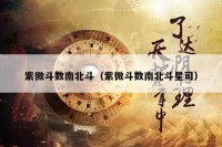 紫微斗数南北斗(紫微斗数南北斗星司)