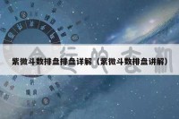 紫微斗数排盘排盘详解（紫微斗数排盘讲解）