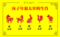 生肖运势2025逐月运势(生肖运势2025逐月运势解析)