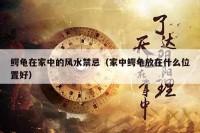 鳄龟在家中的风水禁忌（家中鳄龟放在什么位置好）