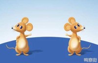 今年八月生肖鼠运势(8月生肖鼠运势)