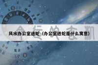 风水办公室进蛇（办公室进蛇是什么寓意）