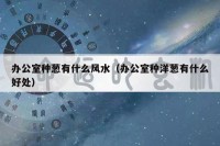 办公室种葱有什么风水（办公室种洋葱有什么好处）