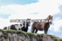 生肖马的人运势如何啊(生肖马的运势解密)