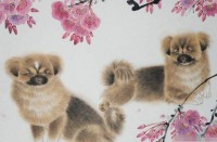 狗生肖在2025的运势(生肖狗2025年运势)