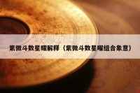 紫微斗数星耀解释（紫微斗数星曜组合象意）