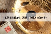 紫薇斗数看方位（紫薇斗数看方位怎么看）