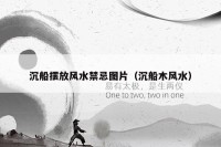 沉船摆放风水禁忌图片（沉船木风水）