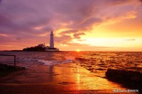 下周星座工作运势查询(下周12星座运势)