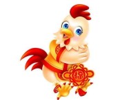 生肖鸡40岁后运势(属鸡人40岁后运势大翻转)