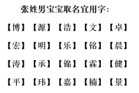 姓张的3月份宝宝起名大全(姓张男孩三个字名字好听大全)