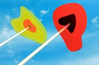 三三运势代表什么生肖(三三有运合二走是什么生肖)