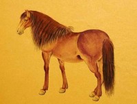 2025属于马生肖运势(2025属马人全年运势)