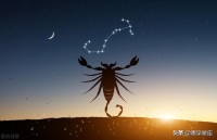 天蝎座运势新浪星座(天蝎座运势 新浪星座)