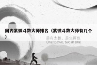 国内紫微斗数大师排名（紫微斗数大师有几个）