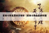 紫微斗数免费命盘解析（紫微斗数命盘解析图）