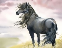 6月23日生肖马运势测试(6月23日生肖马运势测试)