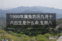 生肖属兔九月运势(生肖属兔九月运势)