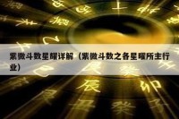 紫微斗数星耀详解(紫微斗数之各星曜所主行业)