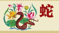 生肖蛇的每日运势解析女(属蛇每日运势更新)