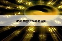 85年牛在2024年的运势