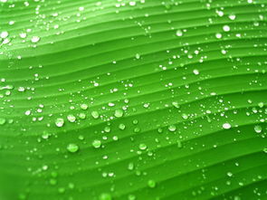 八字比劫旺会如何