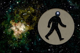 伤官见官与伤官制官区别（伤官见官制得住）