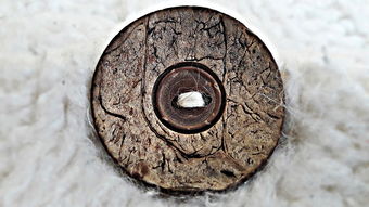 紫薇命盘夫妻宫没有星（命盘夫妻宫什么也没有）